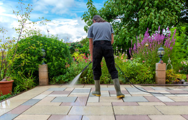 Animal Enclosure Cleaning in South Milwaukee, WI